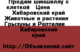 Продам шиншиллу с клеткой › Цена ­ 6 000 - Хабаровский край Животные и растения » Грызуны и Рептилии   . Хабаровский край